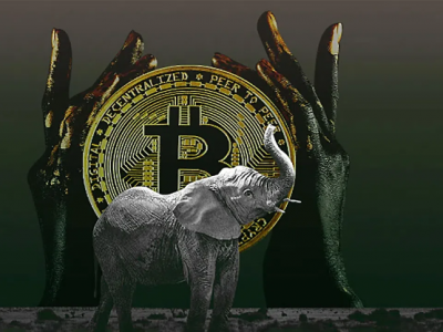 「imtoken新版」非洲拥有最先进的加密生态系统:95% 的交易都是零售转账